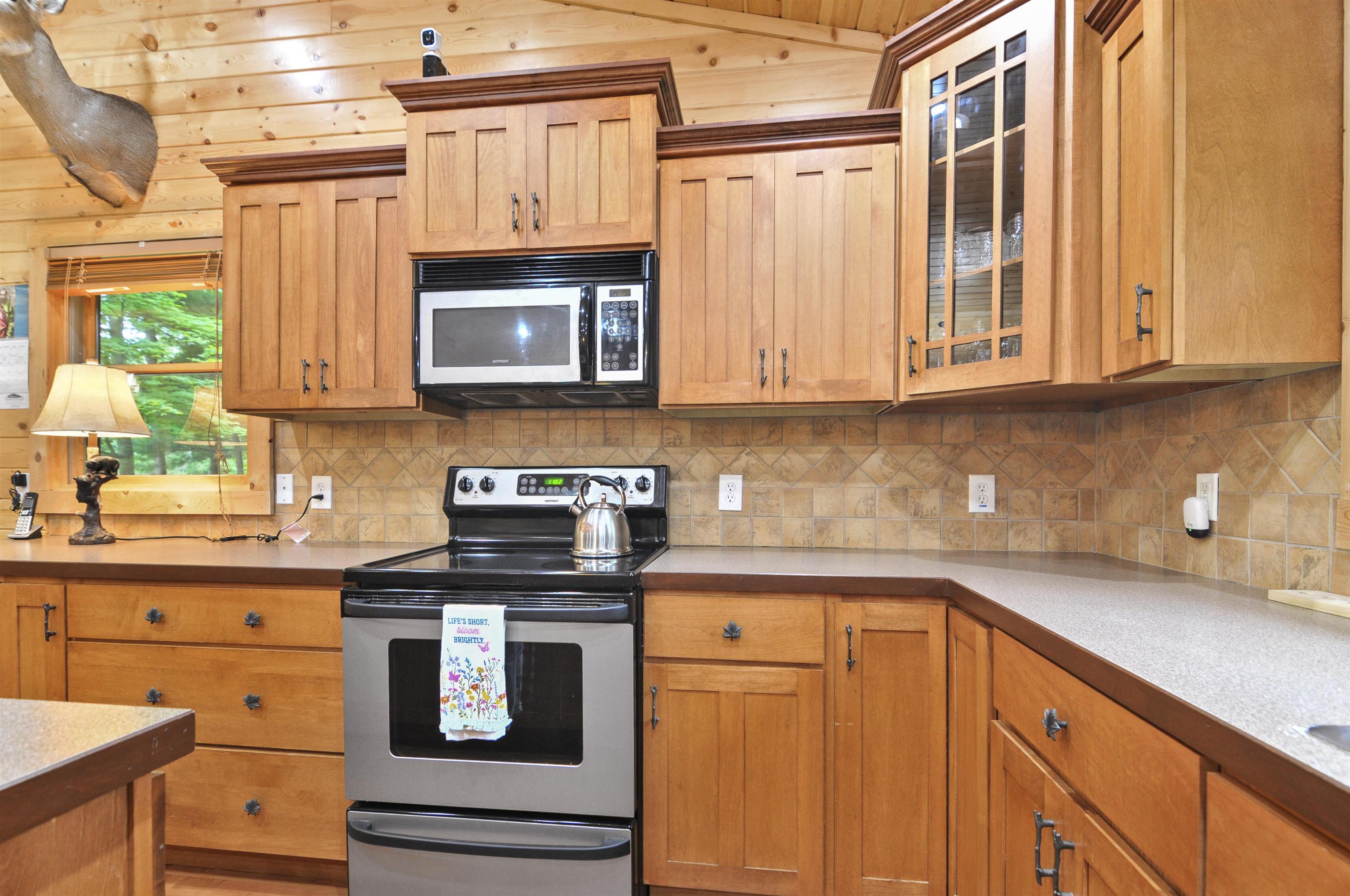 10694 North Mac Road Irons, MI 49644 - Photo 6 of 86