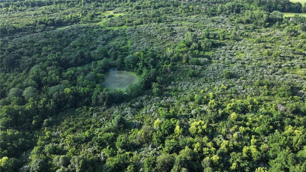 19702 County Road C Trimble, MO 64492 - Photo 12 of 15