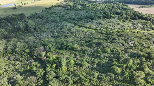 $2,000,000 | 19702 County Road C, Trimble, MO 64492