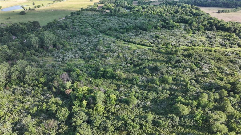 19702 County Road C Trimble, MO 64492 - Photo 4 of 15