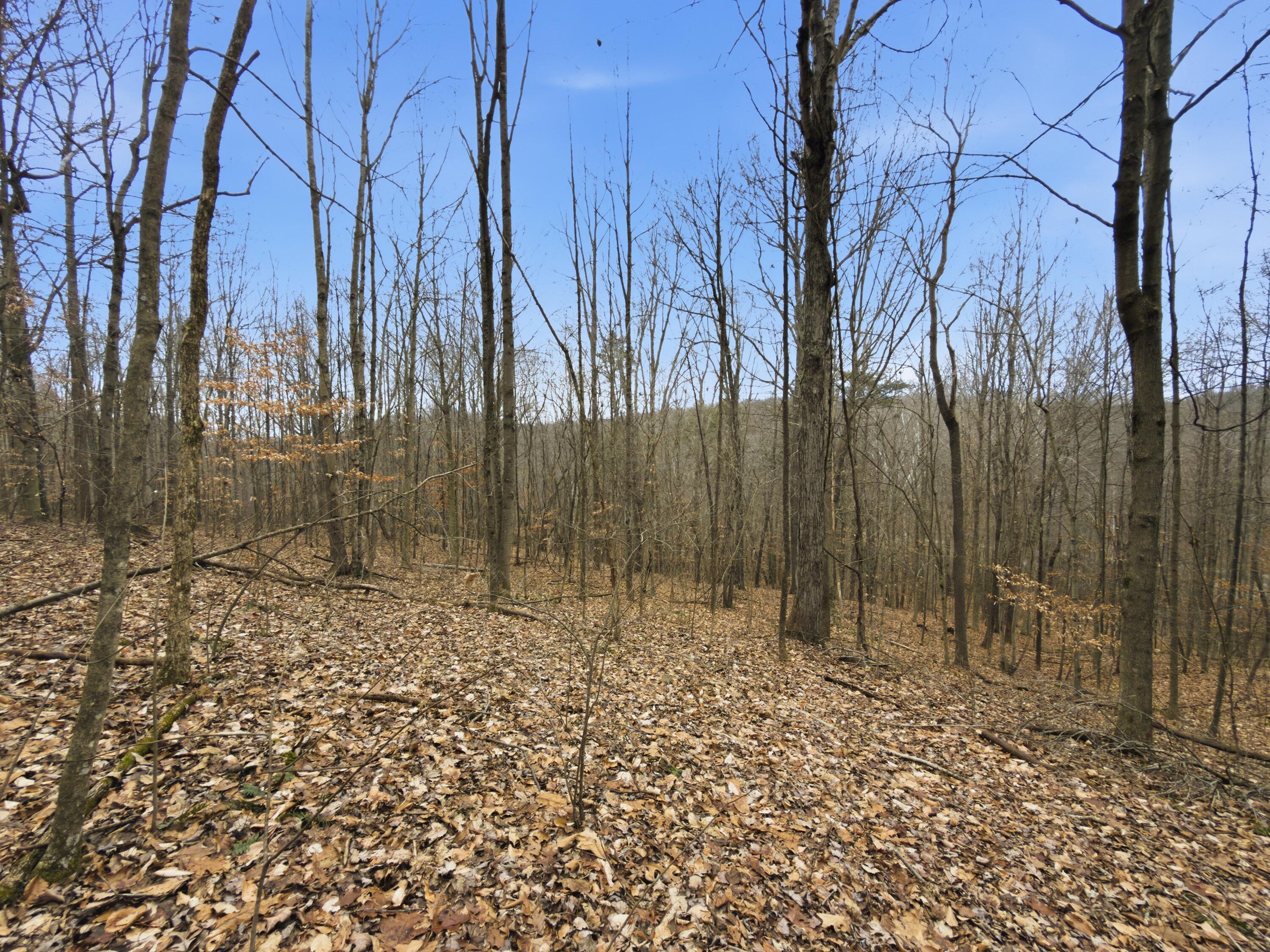 0 East Side Geer Mill Road Vinton, OH 45686 - Photo 21 of 27 IMG_4809