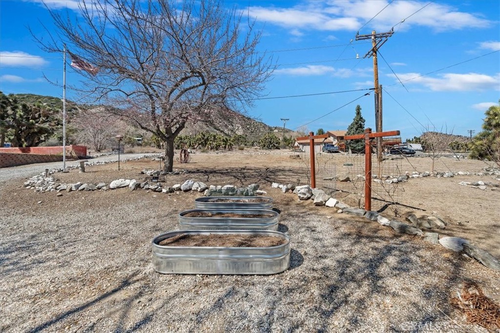 7337 Sequoia Road Wrightwood, CA 92397 - Photo 39 of 52 a view of a yard with a tree