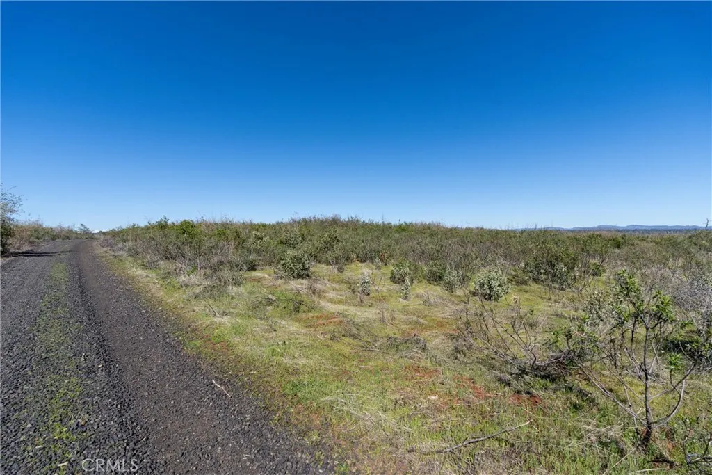 0 Doe Mill Road Chico, CA 95928 - Photo 11 of 62 Gallery Image 11