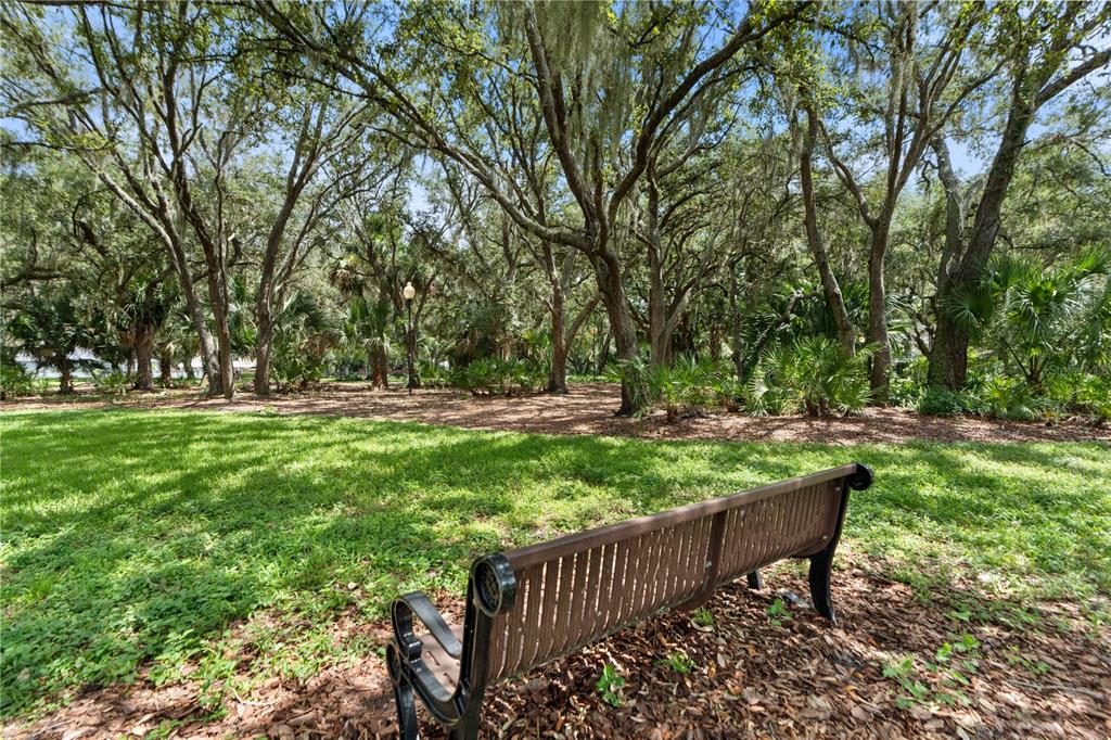 5100 Burchette Road, Unit 404 Tampa, FL 33647 - Photo 33 of 41