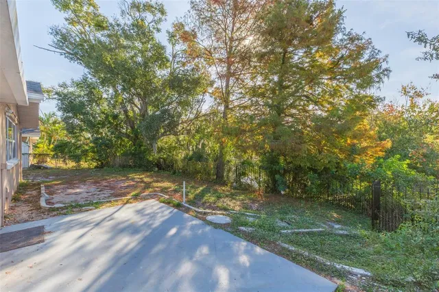 a view of a yard with plants and trees