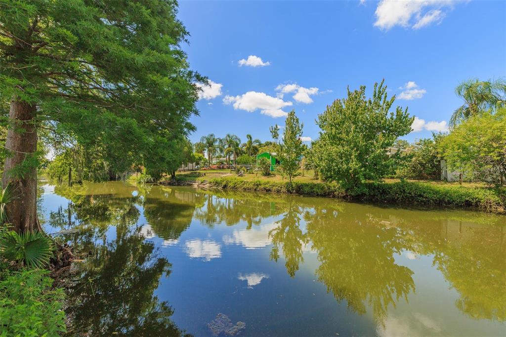 7336 Cherry Laurel Drive Port Richey, FL 34668 - Photo 3 of 36