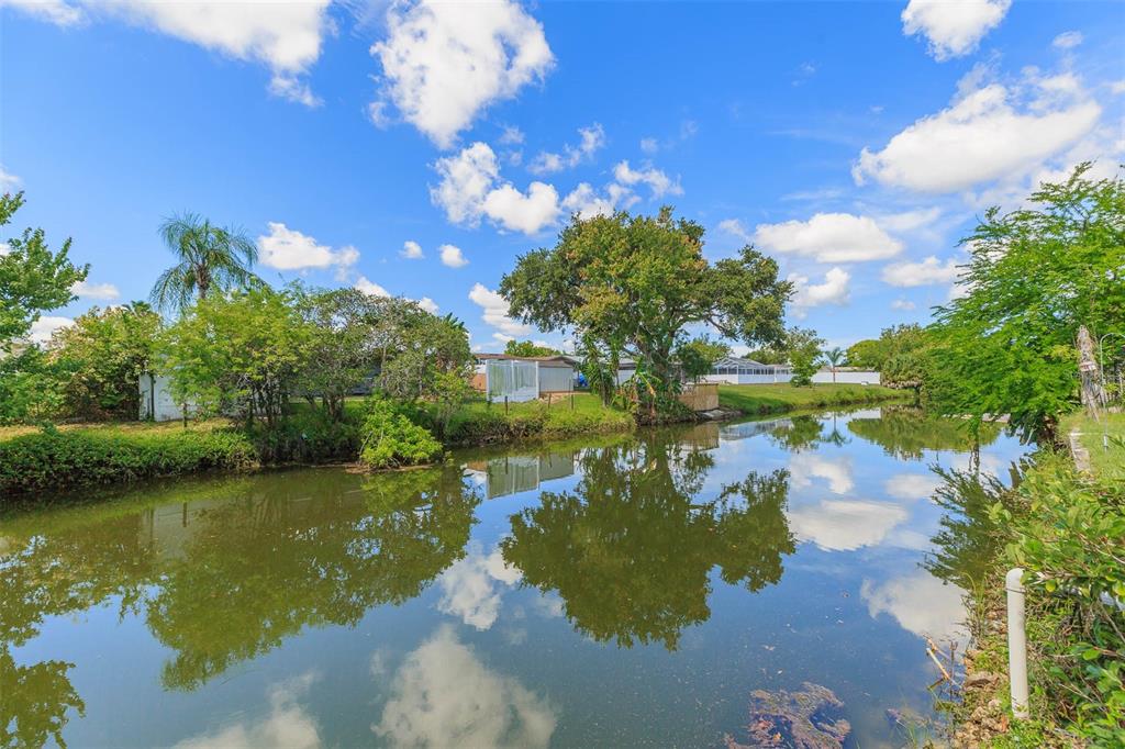 7336 Cherry Laurel Drive Port Richey, FL 34668 - Photo 34 of 36