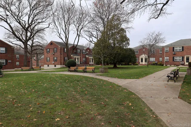 a view of a park with large trees
