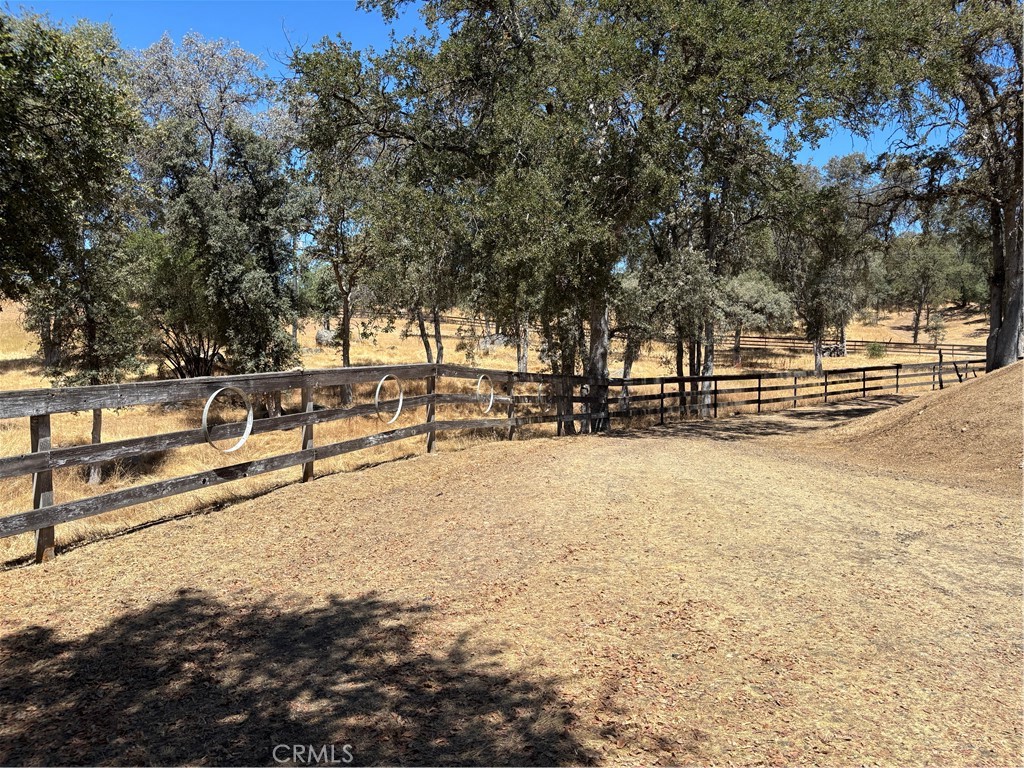 4060 Indian Peak Road Mariposa, CA 95338 - Photo 50 of 60 a view of outdoor space with trees