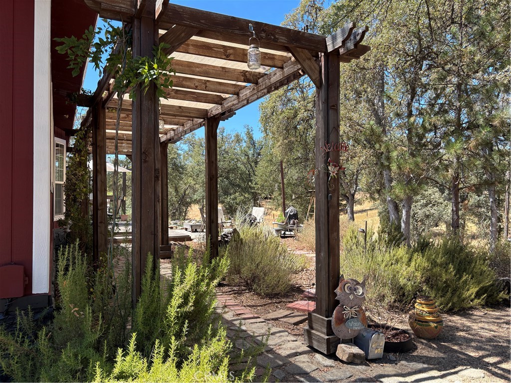 4060 Indian Peak Road Mariposa, CA 95338 - Photo 5 of 60 Arbor, native plants and other water-wise plantings in front yard