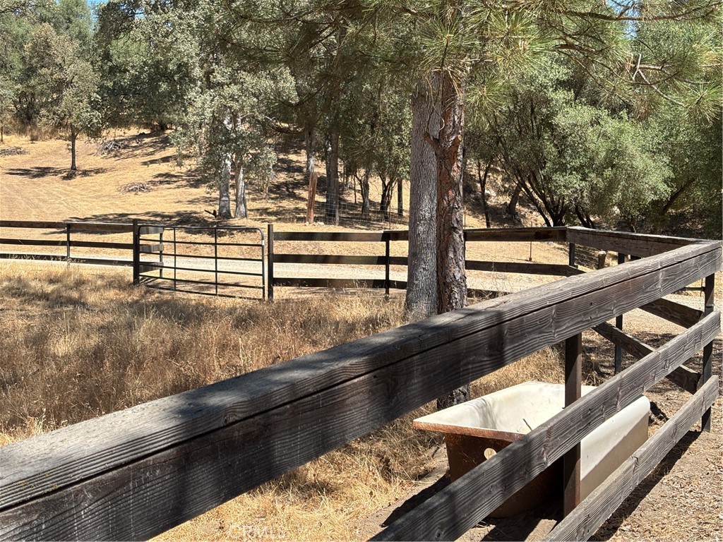 4060 Indian Peak Road Mariposa, CA 95338 - Photo 53 of 60 Driveway along pasture