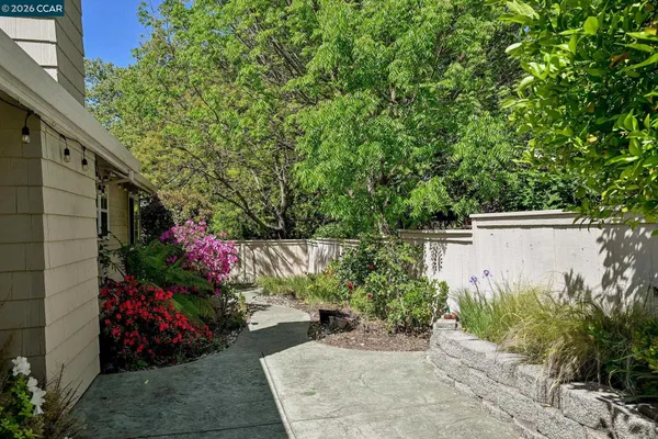 a garden view
