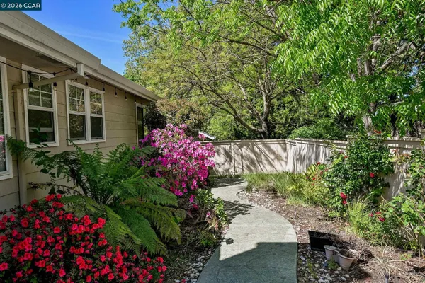 a small garden covered with flower plants
