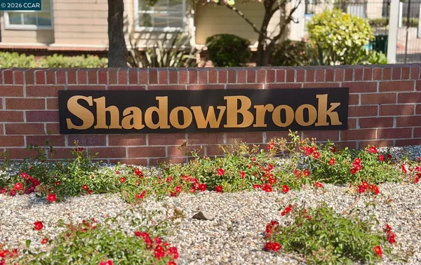 a view of sign board with flowers