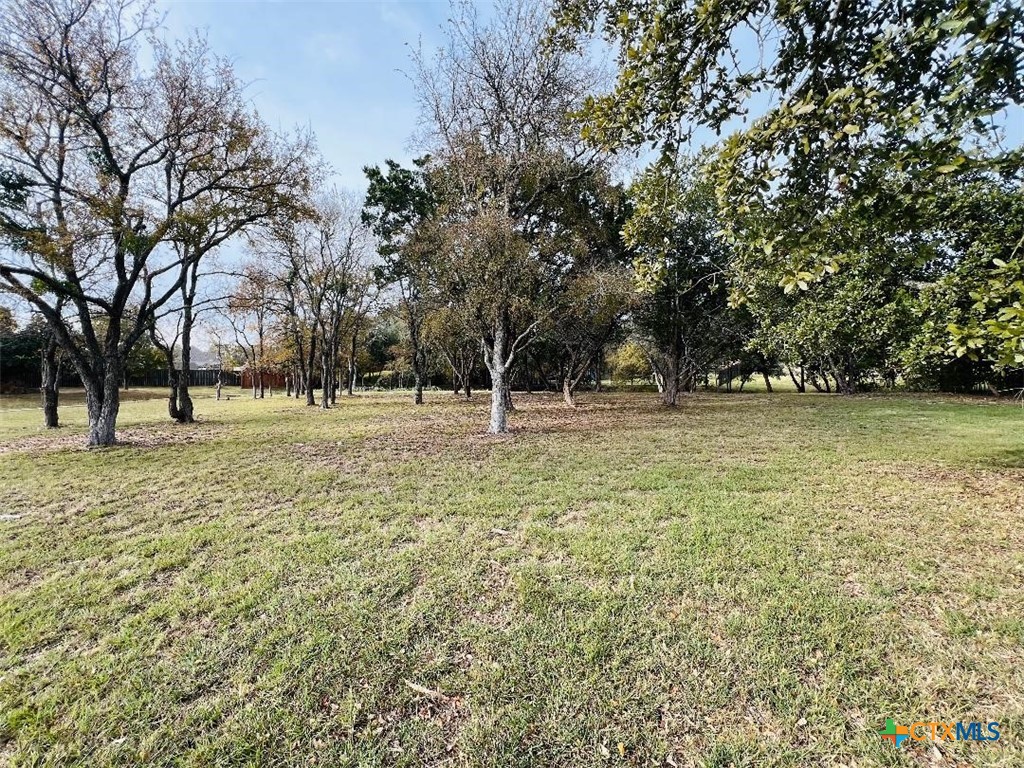 2009 Chalk Ml Crossing Salado, TX 76571 - Photo 1 of 8 a view of outdoor space with trees