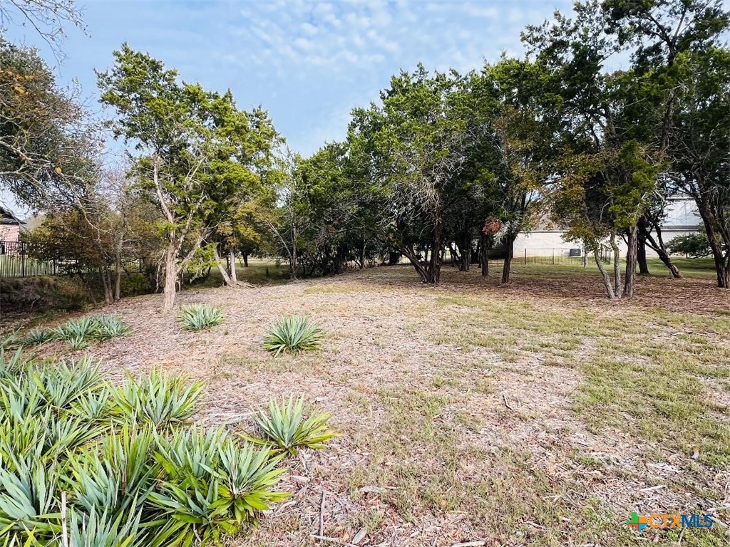 2009 Chalk Ml Crossing Salado, TX 76571 - Photo 5 of 8 a view of backyard with large trees