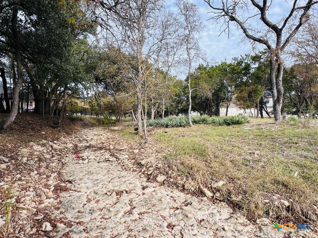 2009 Chalk Ml Crossing Salado, TX 76571 - Photo 7 of 8 a view of a tree in a yard