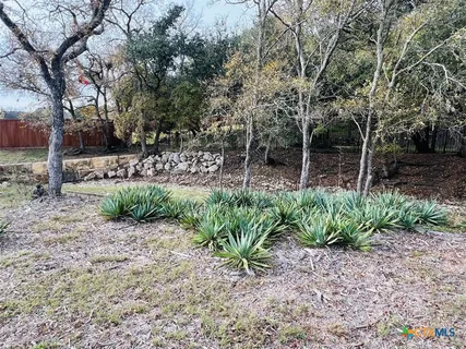 a garden view with a seating space