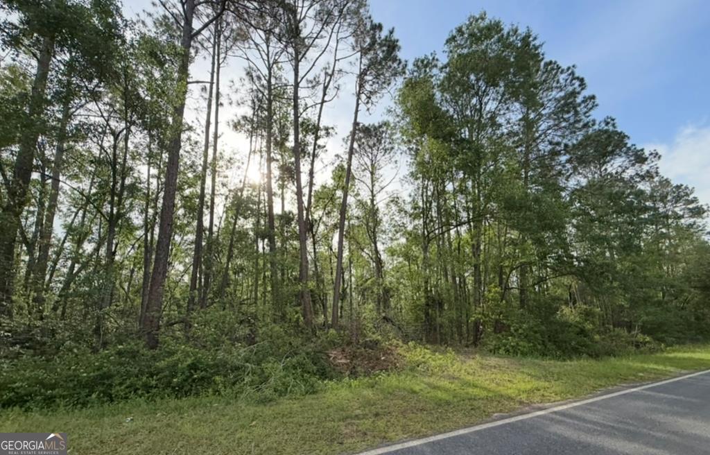 658 Taylor Springs Road Vidalia, GA 30474 - Photo 1 of 1 Main View