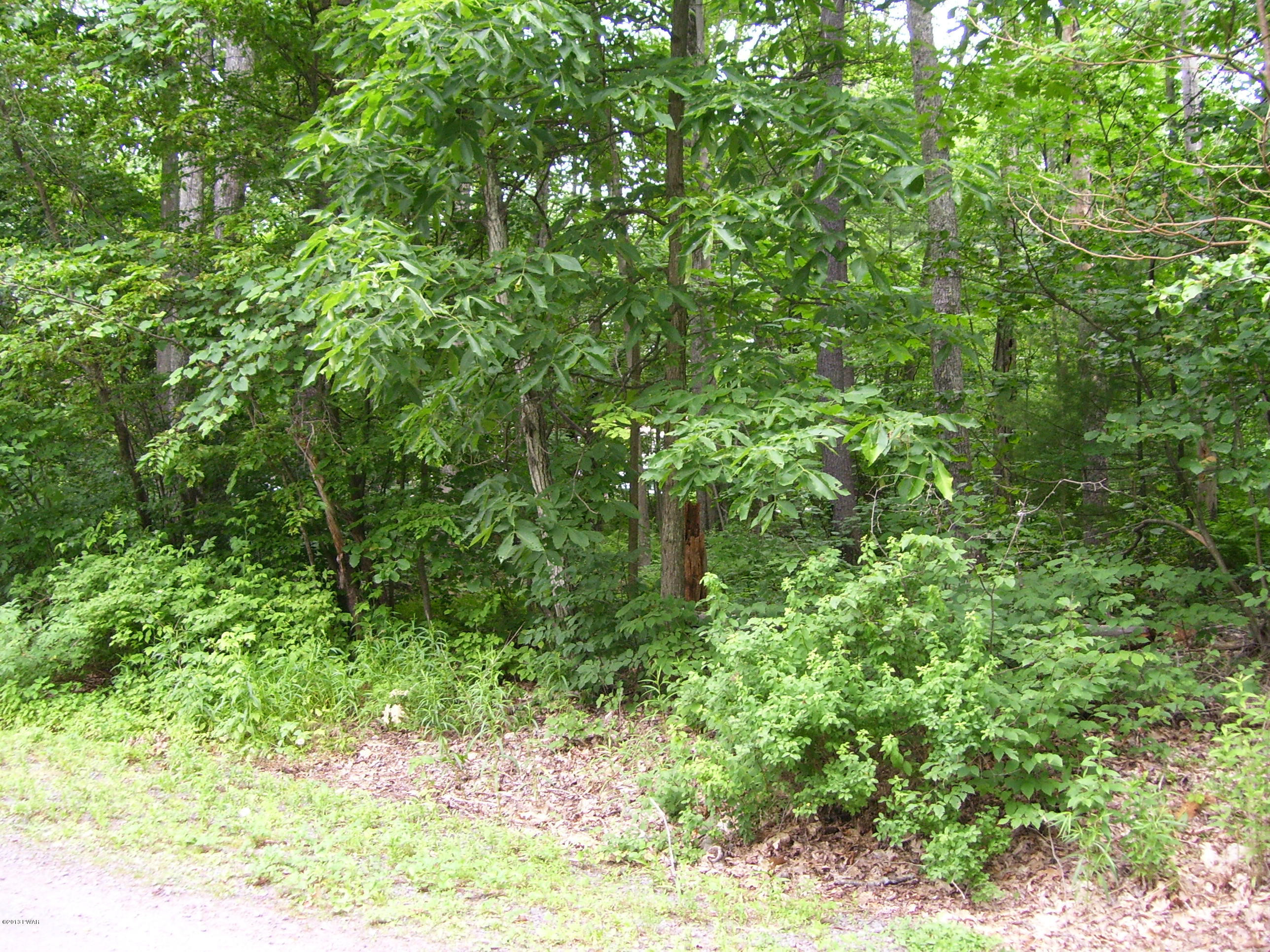 24 Pine Beach Road Lakeville, PA 18438 - Photo 65 of 74
