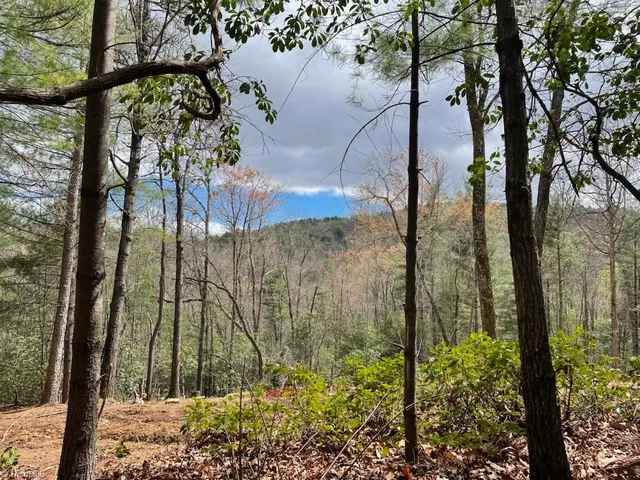 $799,500 | 0 Summit Road, Purlear, NC 28665