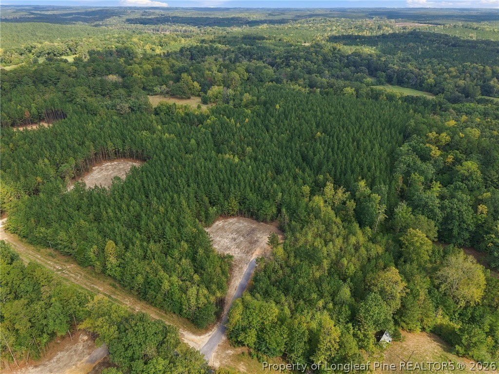 Lot 5 Capelsie Road Candor, NC 27229 - Photo 5 of 12 Gallery Image 5