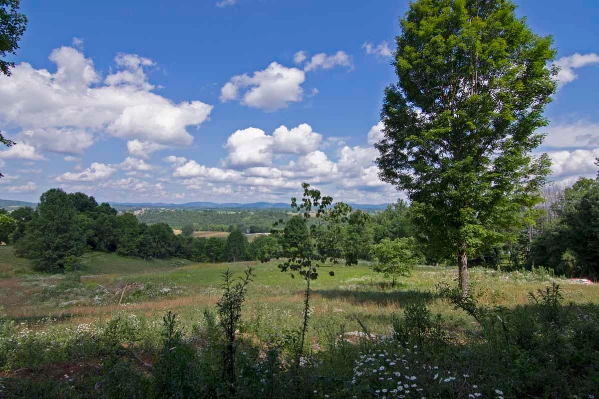 Rich Hollow Road Lewisburg, WV 24901 - Photo 36 of 59 Gallery Image 36