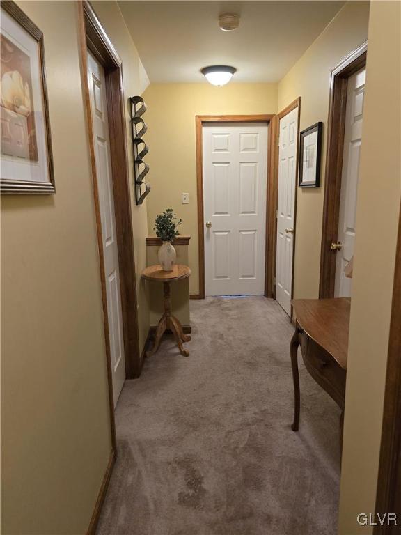 3746 Apple Road Orefield, PA 18069 - Photo 33 of 44