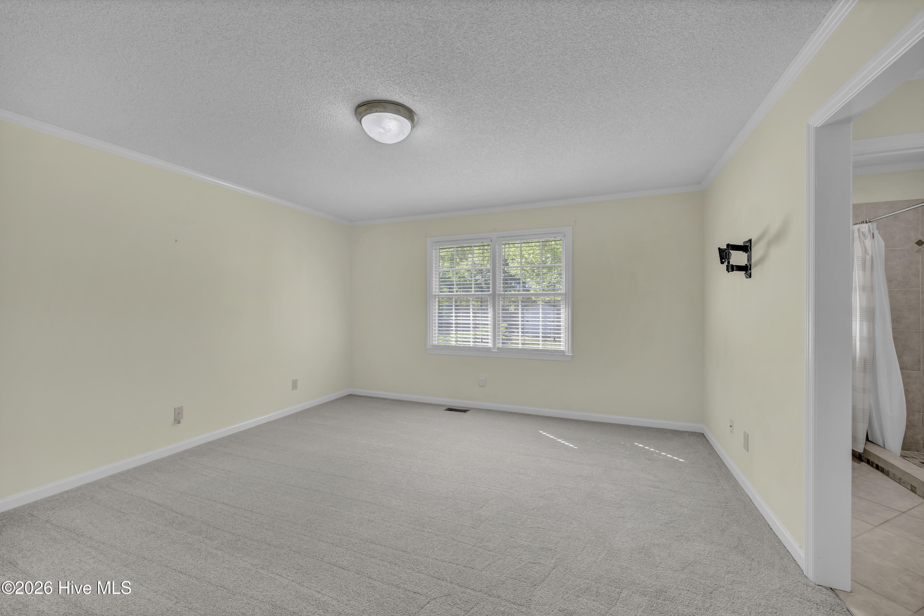 4202 Appleton Way Wilmington, NC 28412 - Photo 16 of 32 IMG_2584 (1)