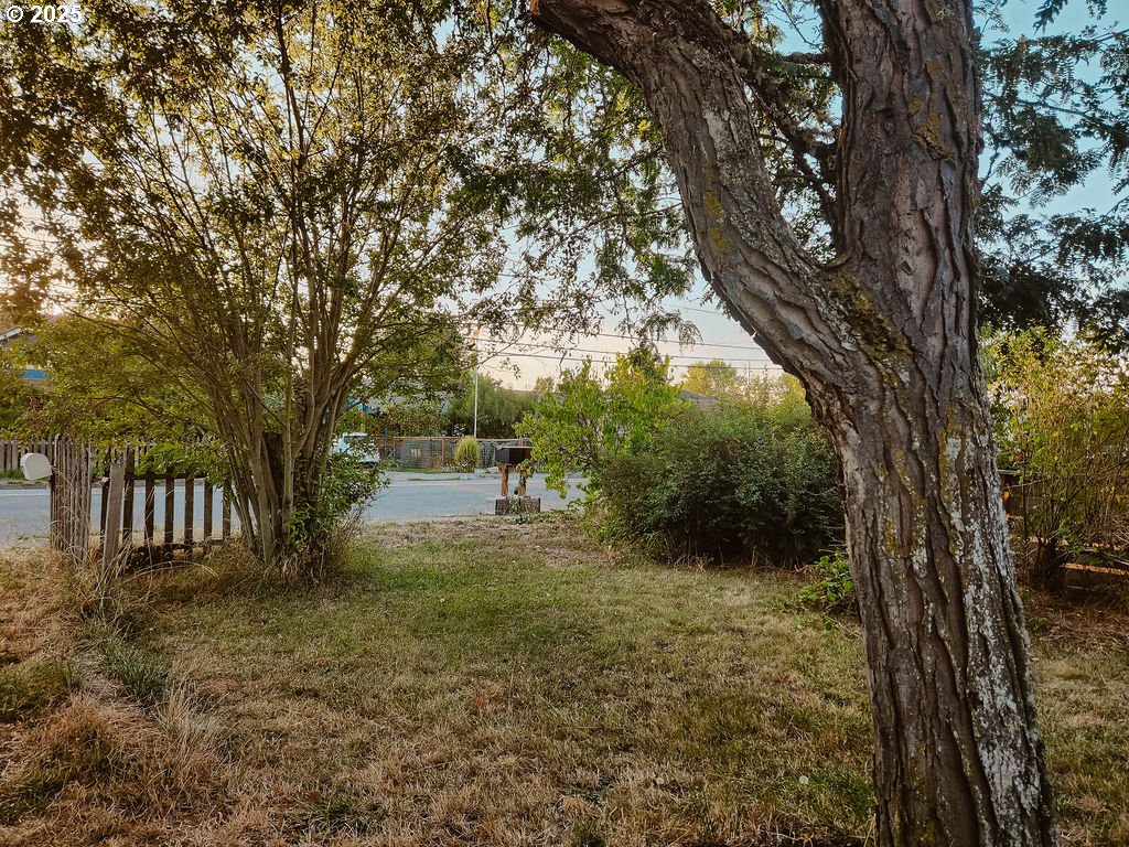 1895 City View Street Eugene, OR 97405 - Photo 36 of 36