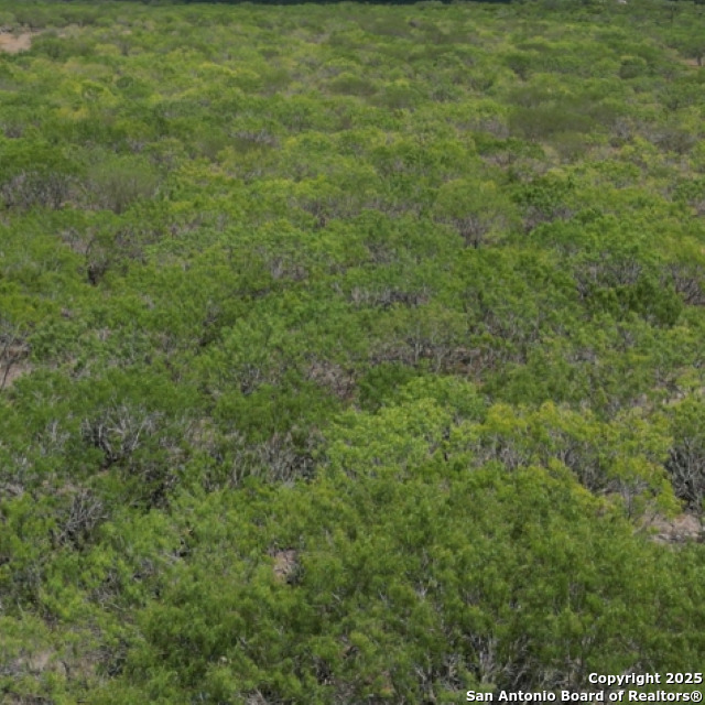 0 Fm 2049 Three Rivers, TX 78071 - Photo 2 of 4 a view of a field