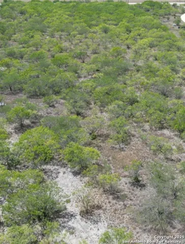 a view of a big yard with lots of green space