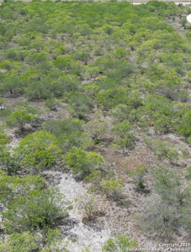 0 Fm 2049 Three Rivers, TX 78071 - Photo 3 of 4 a view of a big yard with lots of green space