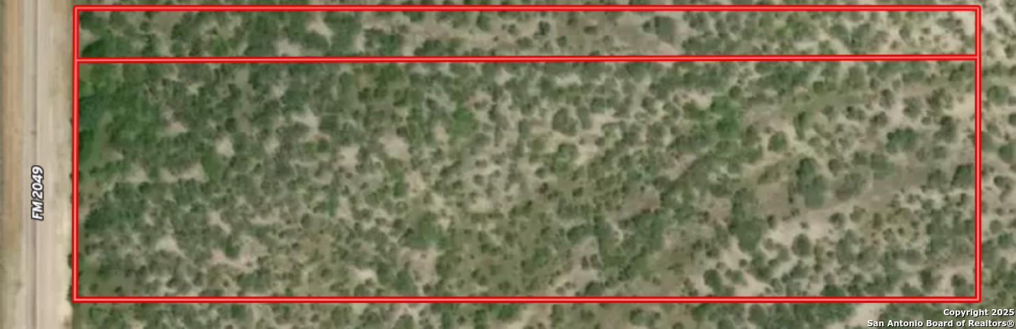 0 Fm 2049 Three Rivers, TX 78071 - Photo 4 of 4