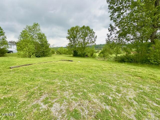 690 Red Hill Road Greeneville, TN 37743 - Photo 8 of 22 IMG_5885
