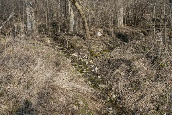 $114,500 | Harrison Road, Unit 12, Hilbert, WI 54129