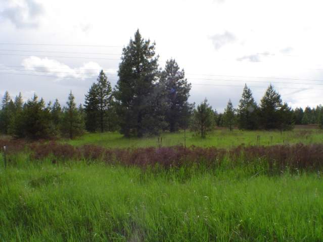 Xx North Short Road Deer Park, WA 99006 - Photo 3 of 8