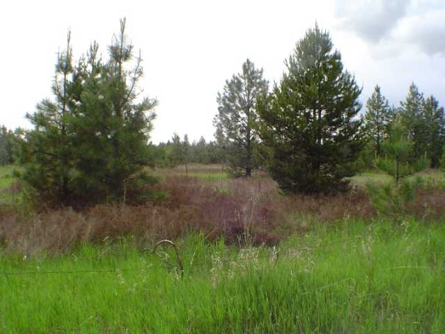Xx North Short Road Deer Park, WA 99006 - Photo 8 of 8