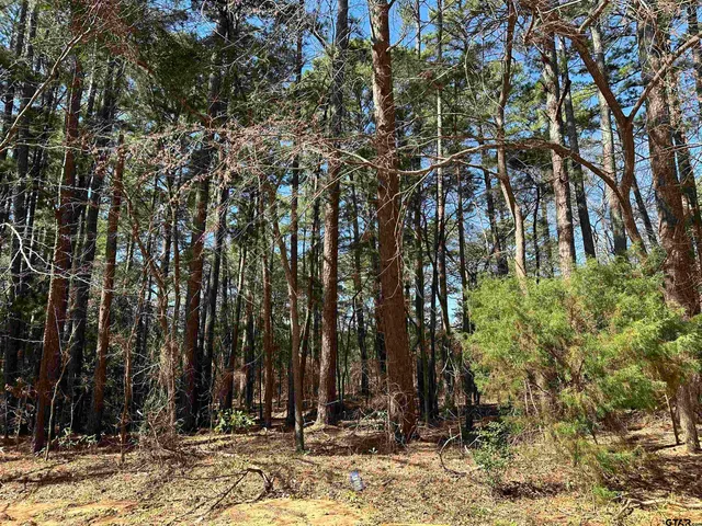 a view of a backyard of the house