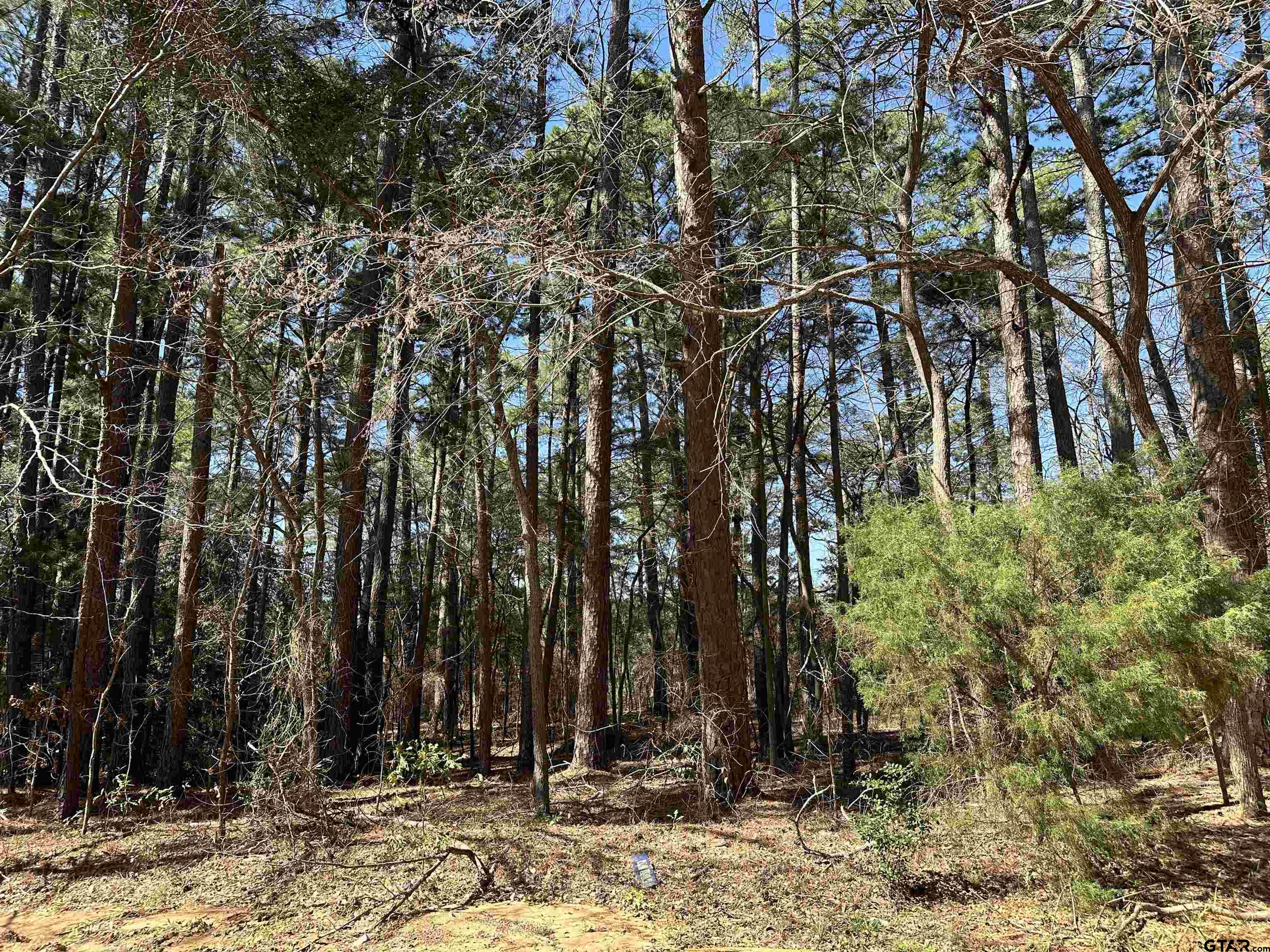 a view of a backyard of the house