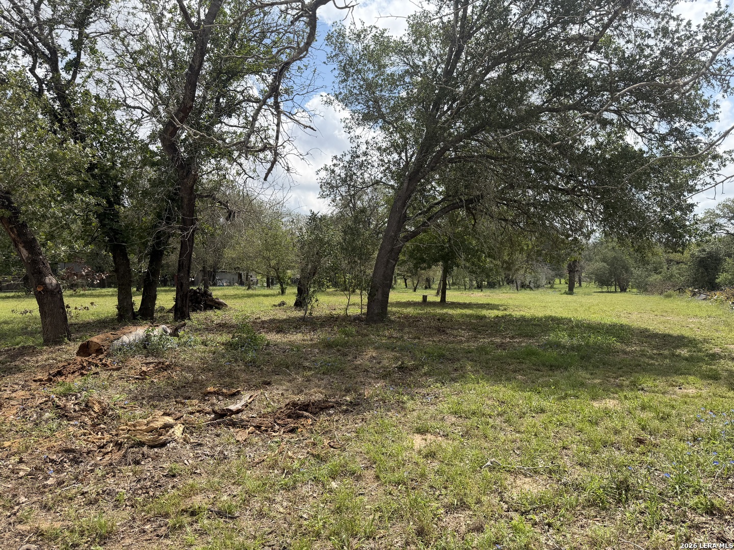 25594 Sunset Road San Antonio, TX 78264 - Photo 4 of 7 a view of a tree in a yard
