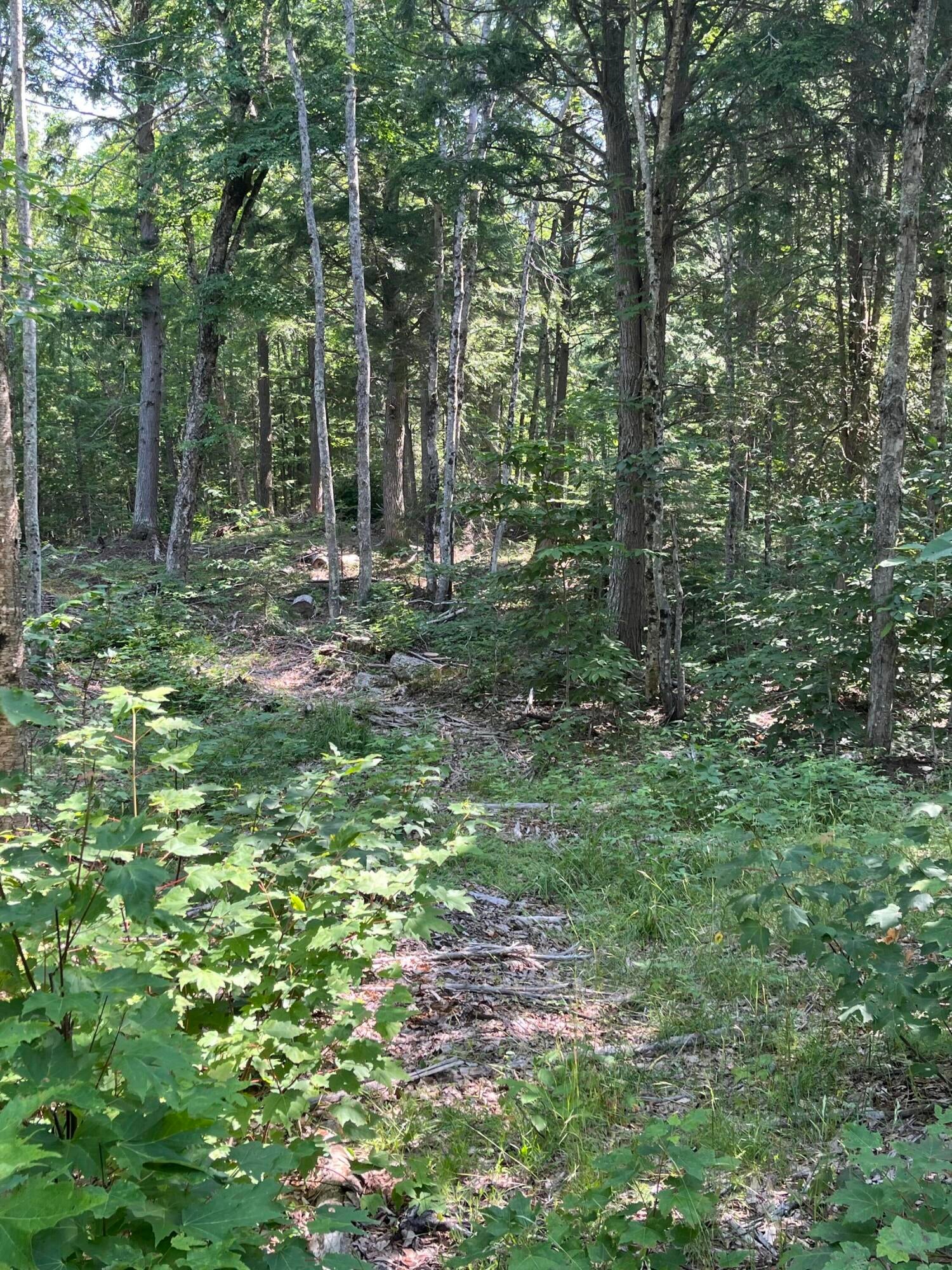 2137 North Hulbert Road Eckerman, MI 49728 - Photo 5 of 9 Gallery Image 5
