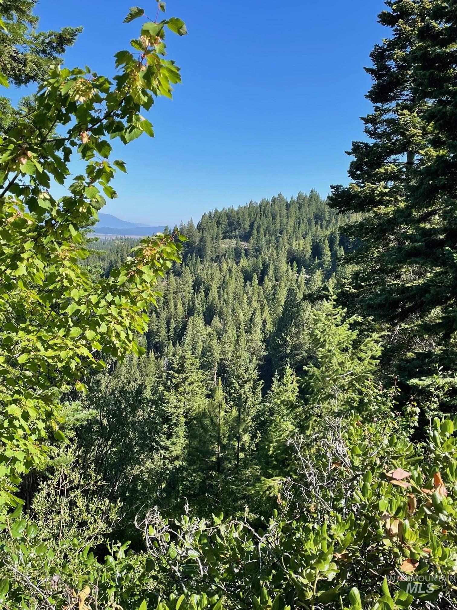 80 West Fork Creek Road Cascade, ID 83611 - Photo 8 of 10