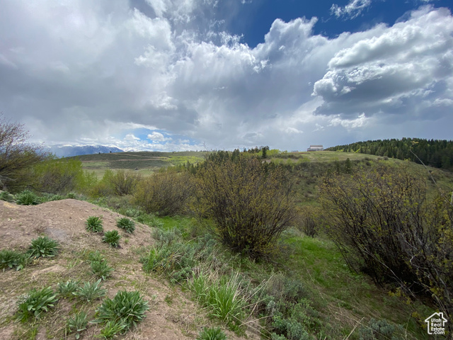 41 Grouse Loop Road, Unit 41 Freedom, WY 83120 - Photo 8 of 33 View of local wilderness featuring rural landscape
