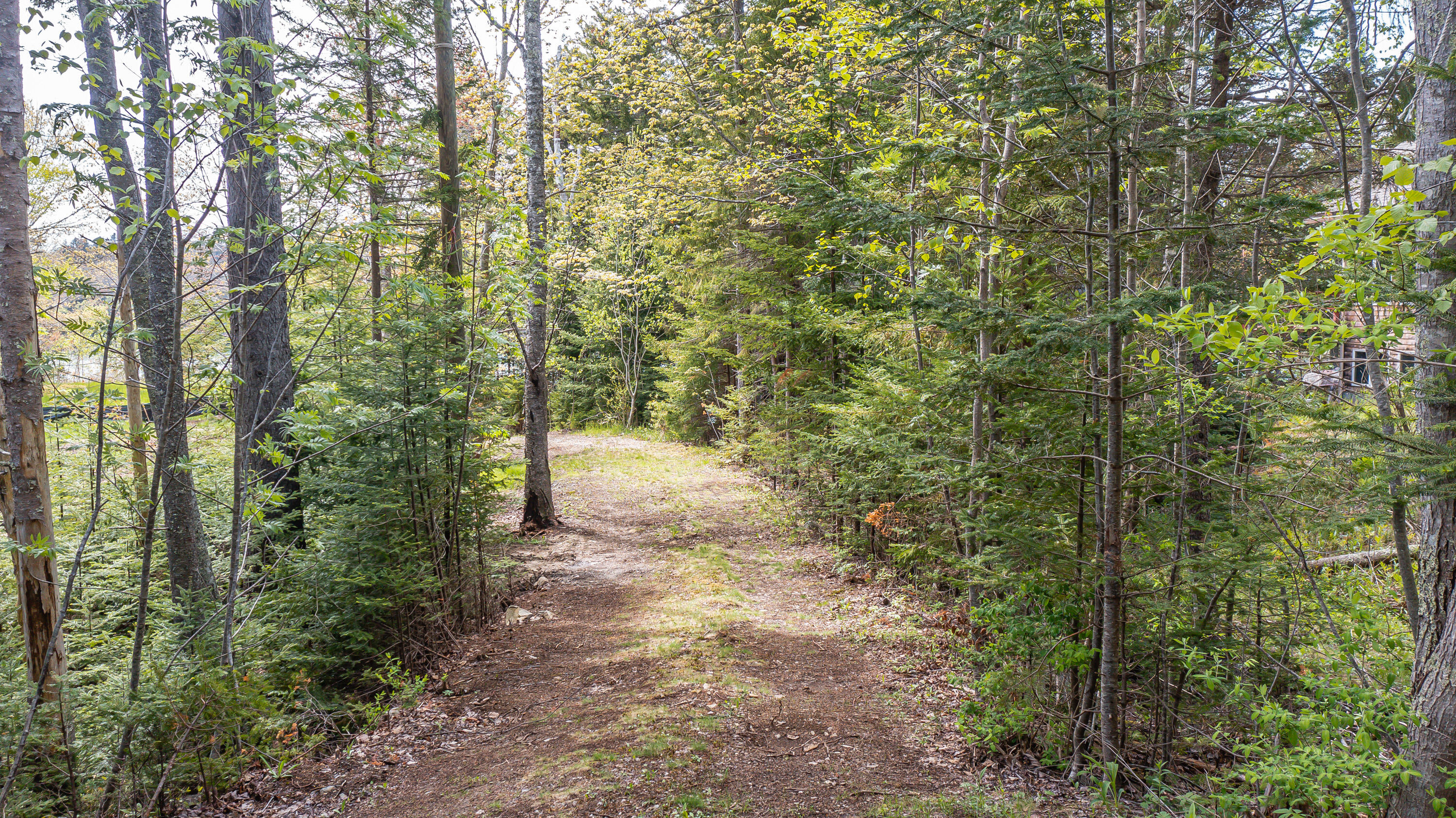 148 Patten Point Road St. George, ME 04859 - Photo 17 of 19 1118