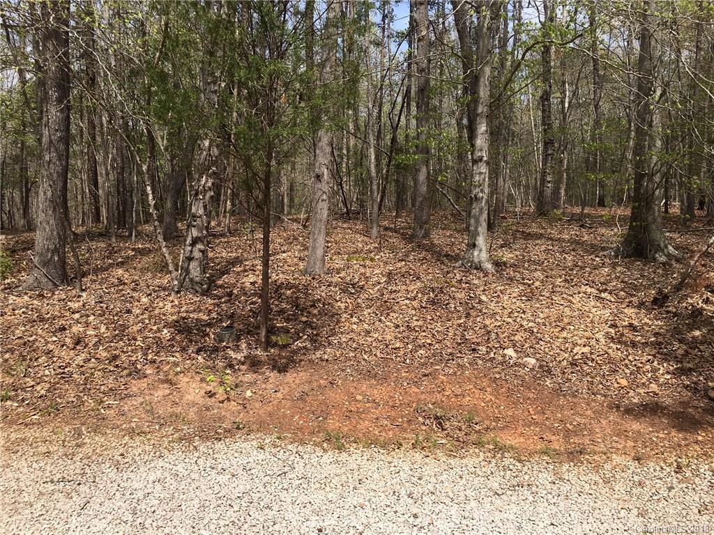 7007 Newman Road Waxhaw, NC 28173 - Photo 5 of 28 Gallery Image 5