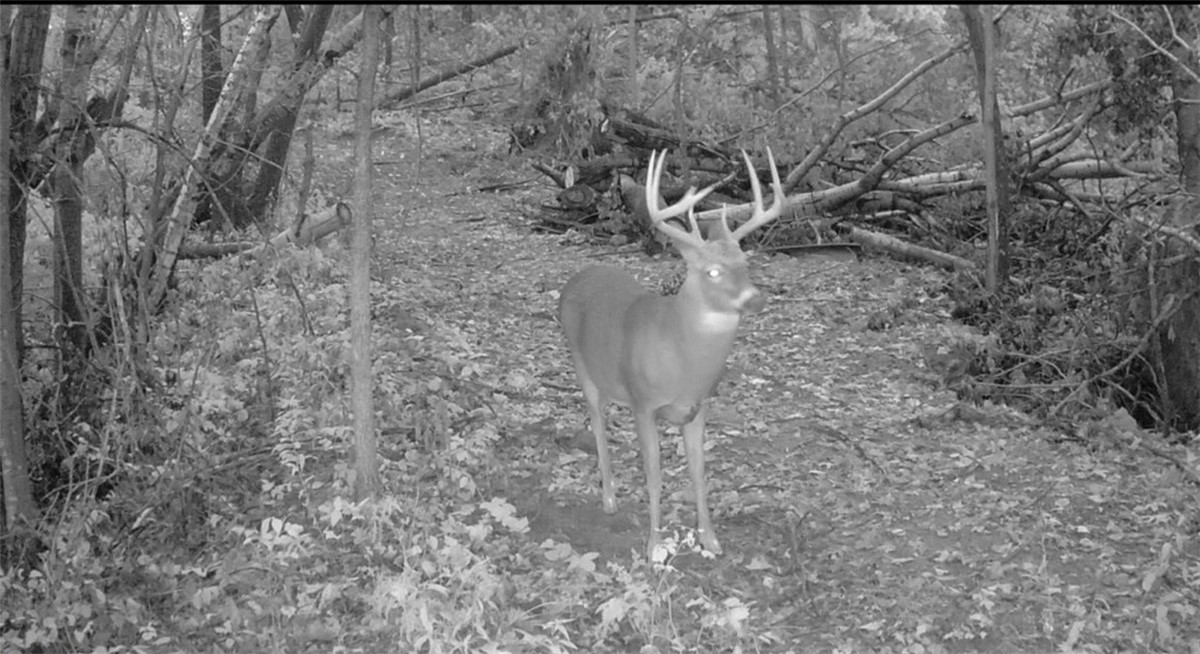 0 County Kk Alma, WI 54610 - Photo 54 of 58