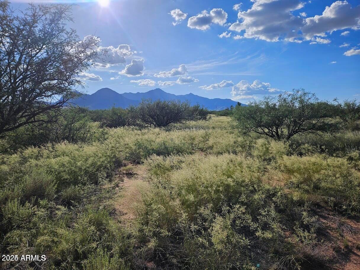 4.5-acres East Lane Ranch Road, Unit 30 Hereford, AZ 85615 - Photo 1 of 19 20240823185823473050000000-o
