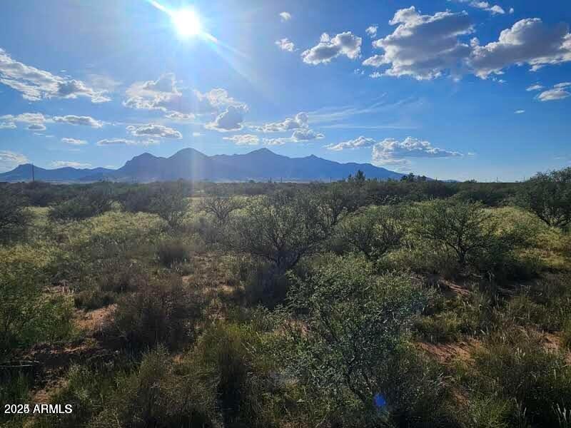 4.5-acres East Lane Ranch Road, Unit 30 Hereford, AZ 85615 - Photo 11 of 19 20240823185828343815000000-o