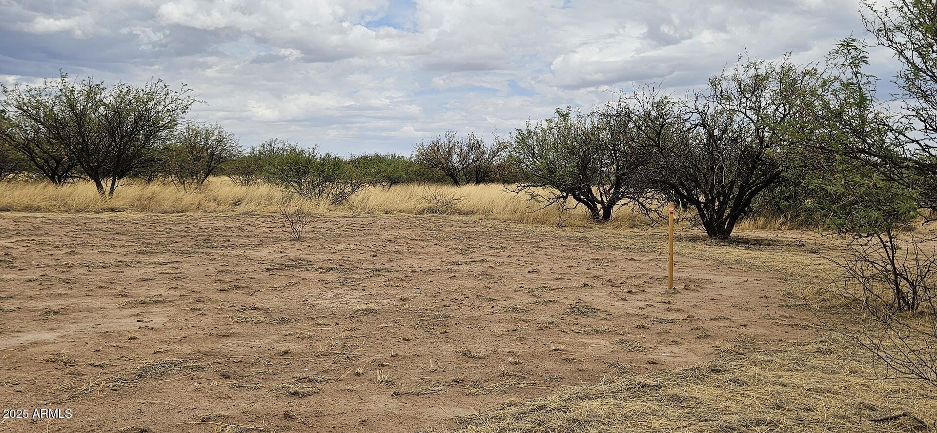 4.5-acres East Lane Ranch Road, Unit 30 Hereford, AZ 85615 - Photo 12 of 19 20250601_114712